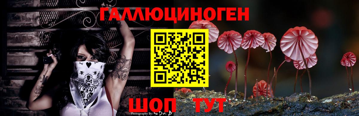 Зима  Галлюциногенные грибы MAGIC MUSHROOMS  Вход с VPN 