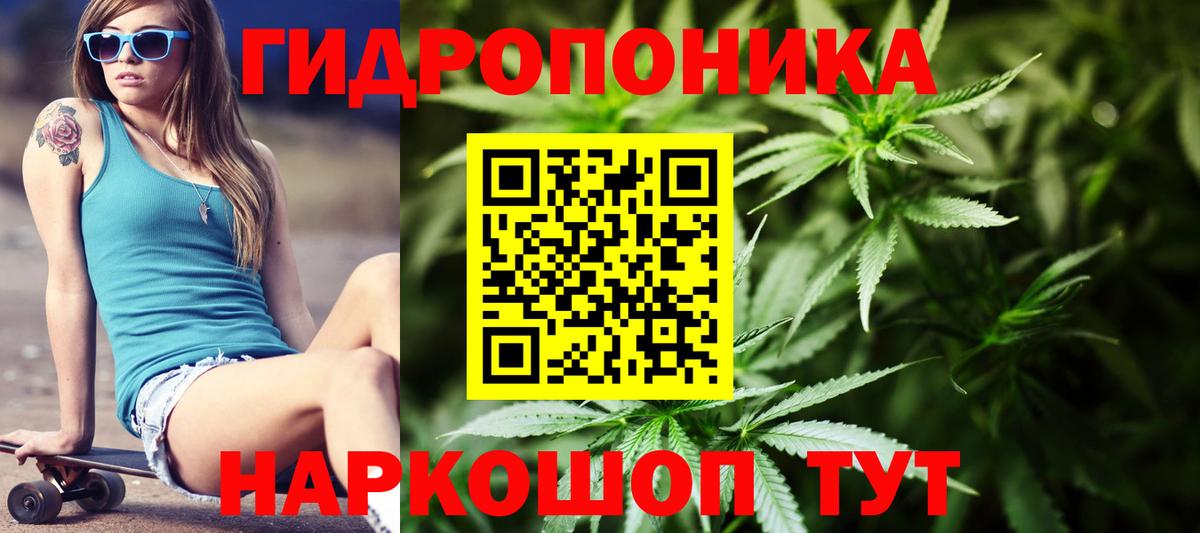 Зима  Конопля SATIVA & INDICA  Марихуана ГИДРОПОН  Вход с VPN 